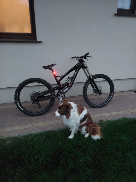 Yt tues 2.0 2014 roz m