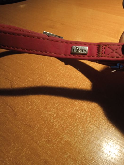 Нашийник для собак Hunter