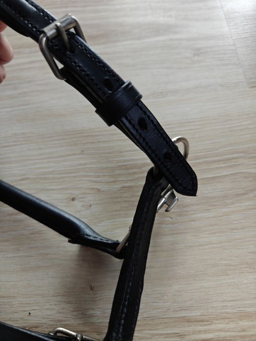 Nowy kantar skórzany Busse pony