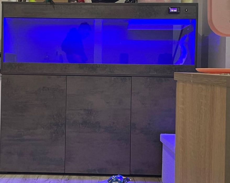 Na sprzedaż: Duże terrarium z komodą – idealne dla węża