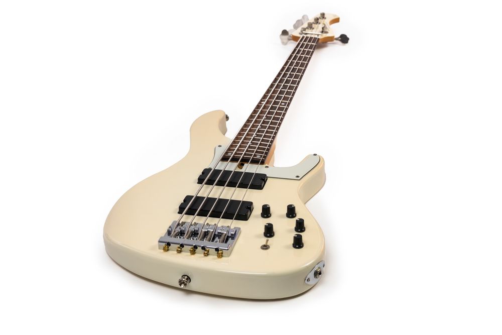 Bacchus TF-501 (Sadowsky, Mayones)