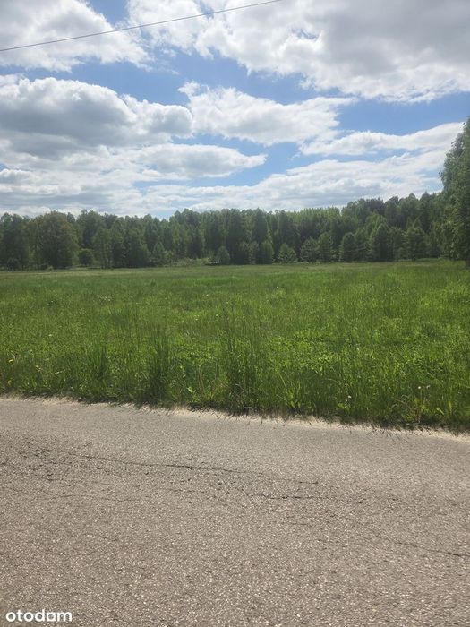 Działka Budowlana z warunkami zabudowy Baran gm Mniów