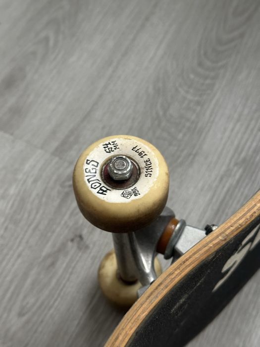 Skate Element Seal 8 – Custom completo