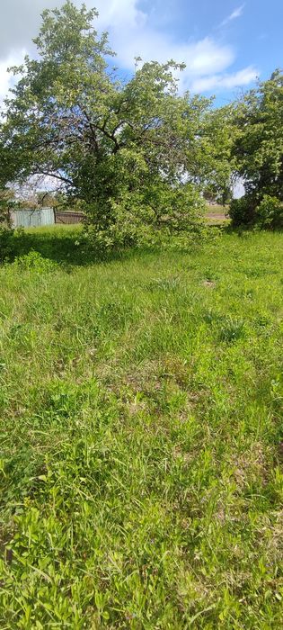 Доглянута садиба 20 км від міста.(ЖД станція,р. Десна)