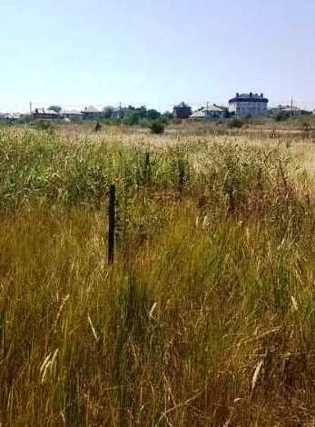 Участок 4 сотки в Царском селе-2