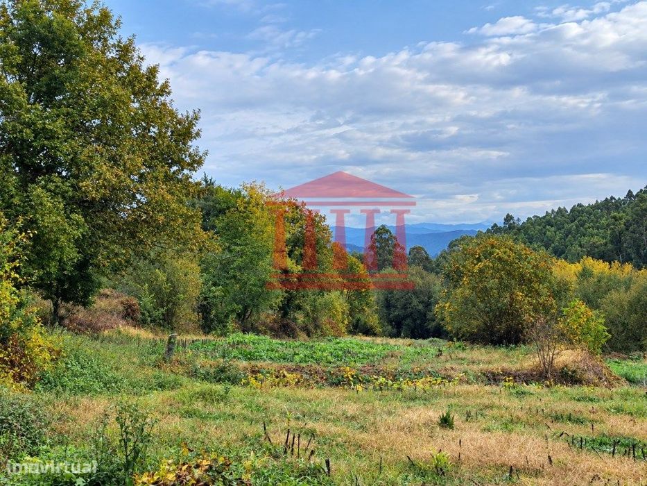 Terreno Agrícola Para Venda Em Parada De Gatim - Vila Verde