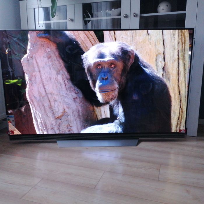 LG OLED 65E7V pilot