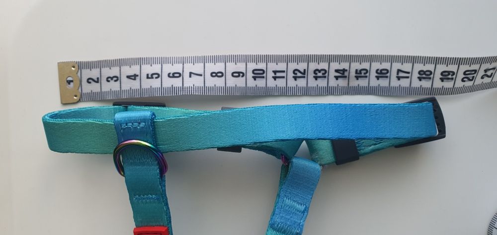 Амуніція для собак