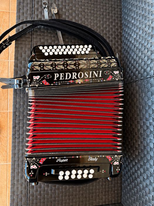 Vendo concertina Pedrosini