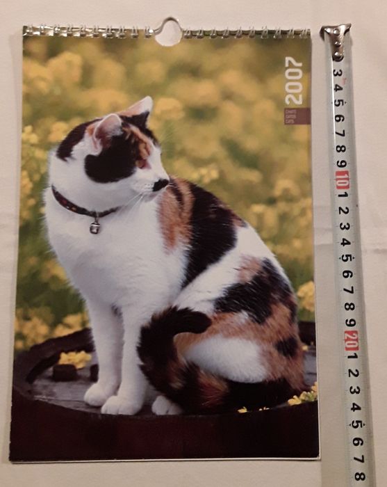 Calendário de parede com gatos do ano 2007