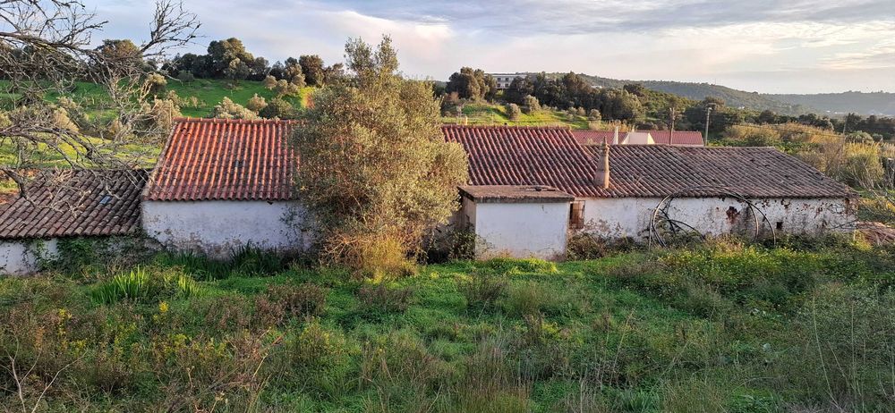 Quinta em Silves 1.5h