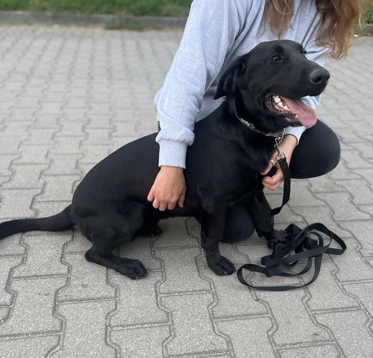 Batman szuka swojego człowieka.