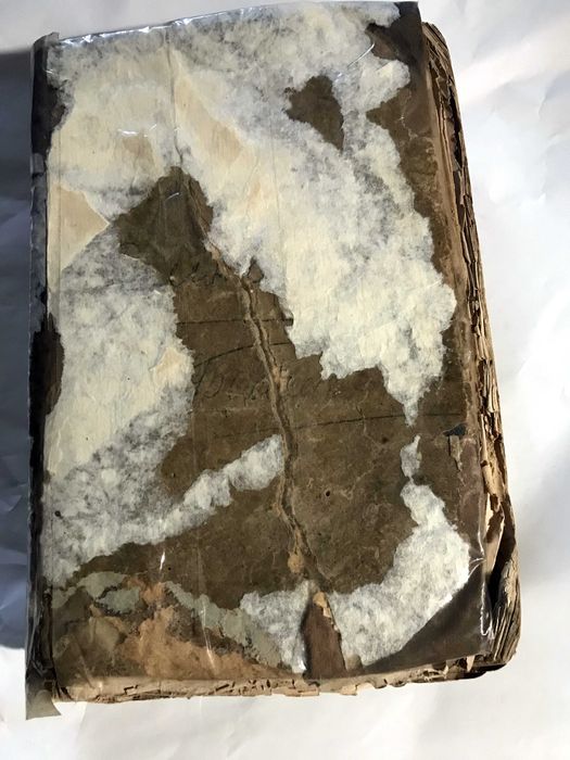 Елена Молоховец Подарок молодым хозяйкам.