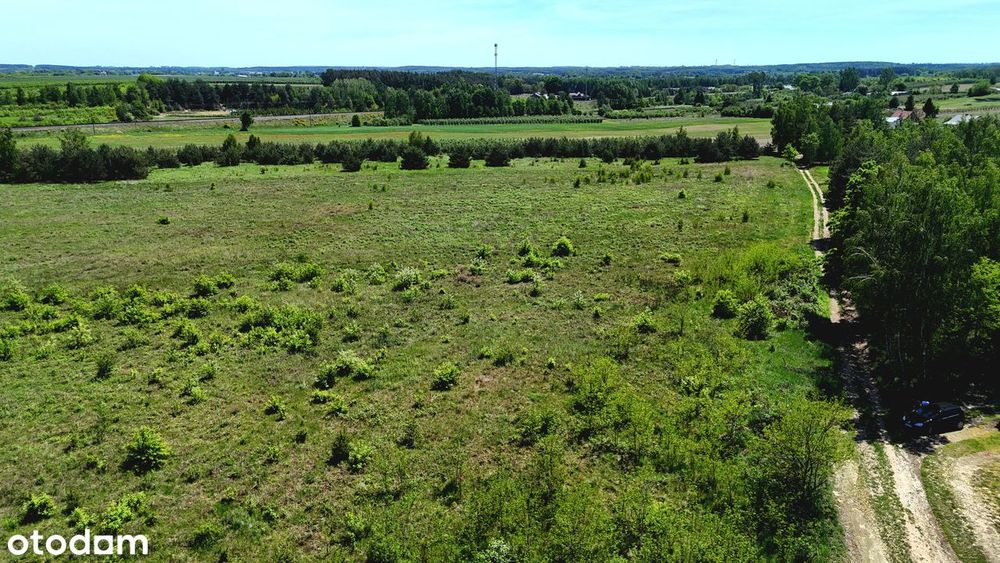 Działka 3,70 ha przy lesie- Żurawka, gmina Biała Rawska - Widok 4