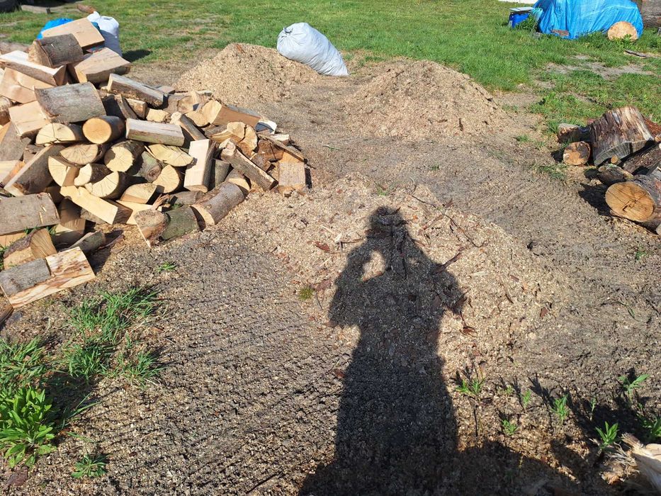 Trociny - opal na wode