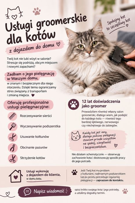 Profesjonalna pielęgnacja kotów z dojazdem do domu