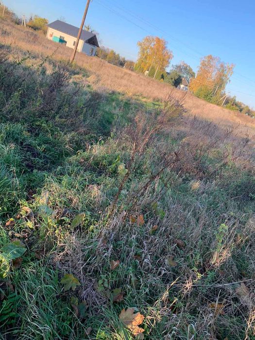 житловий будинок та земельна ділянка 46,5 сот