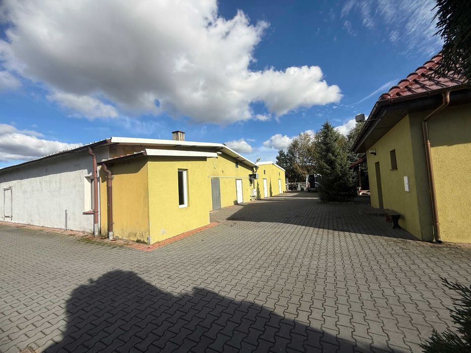 680m2 HALA / magazyn produkcja  chłodnia biuro BEZPOŚREDNIO