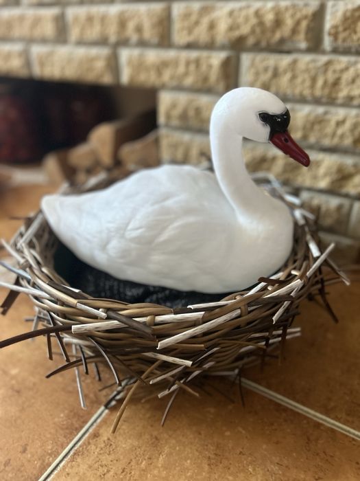 Велике гніздо з лебедем