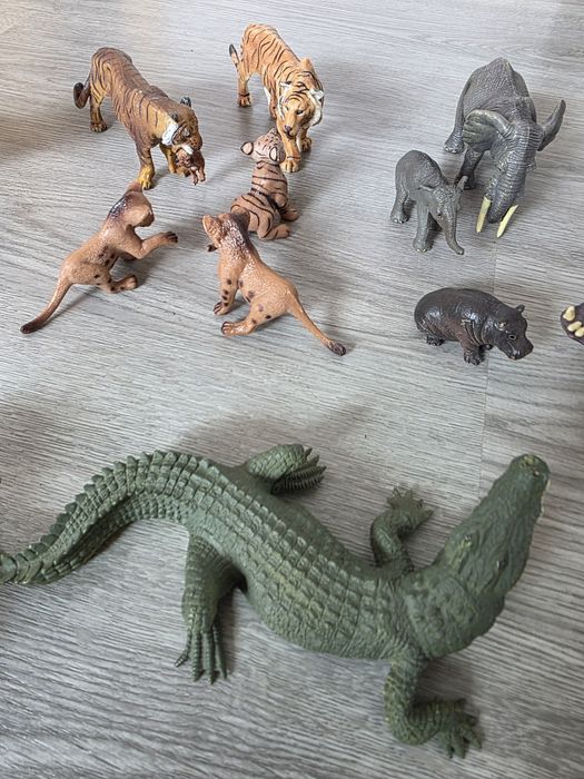 Animais selvagens e animais da quinta