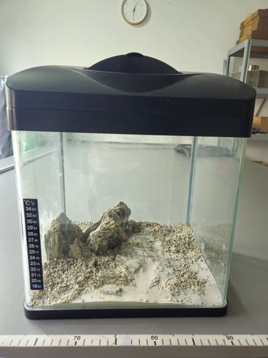 Akwarium 20l z pokrywą