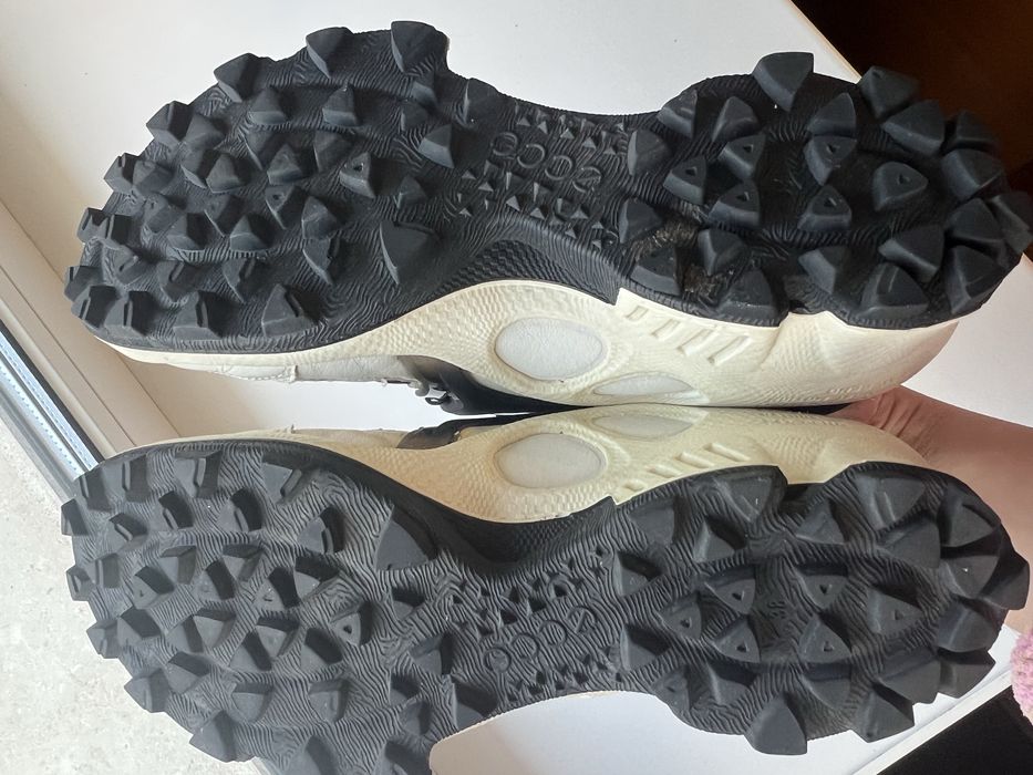 Кросівки Ecco Biom C-Trail Gore-tex