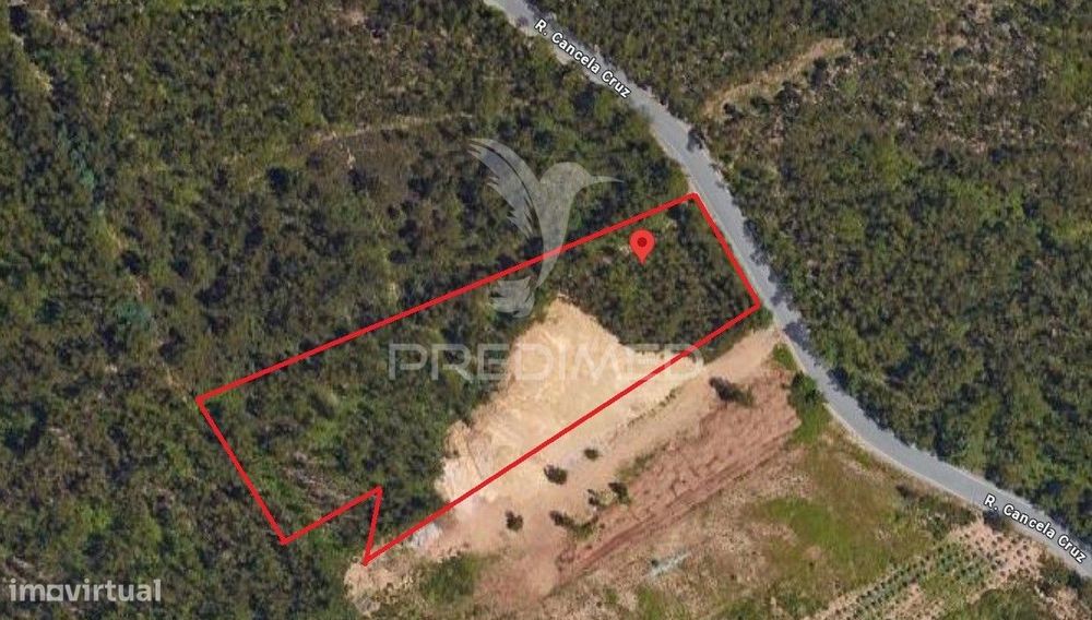 Terreno para Construção Sandim  – Potencial para Polo Industrial