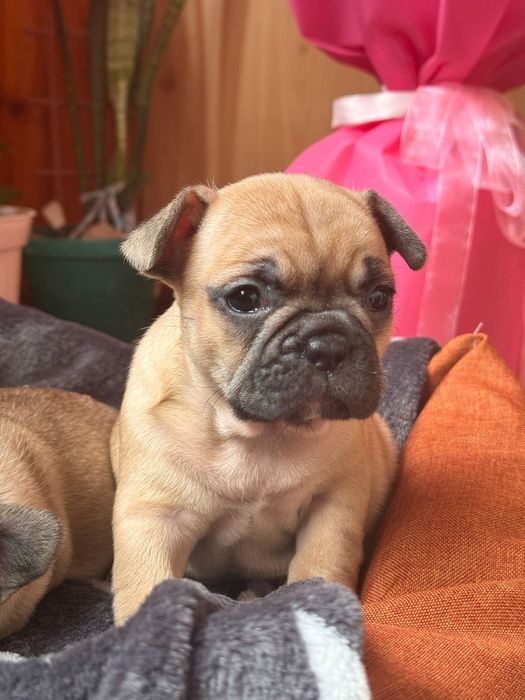 Гарний подарунок на 8 березнч