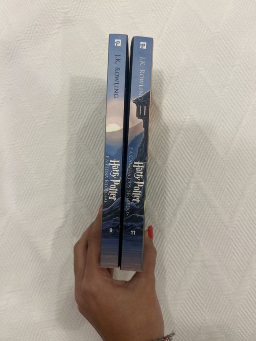 Livros Harry Potter (OFERTA PORTES)