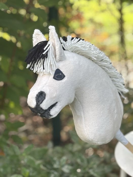 Hobby horse fiord