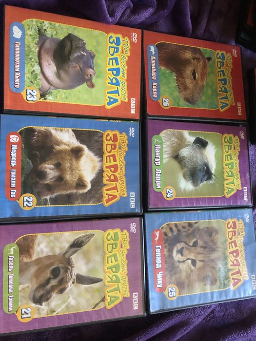 Двд диски для детей 24 шт. Звери животные