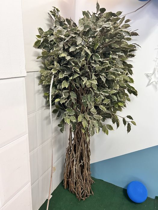 Lote plantas IKEA