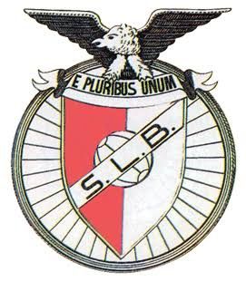 Calções de treino Adidas do Benfica L