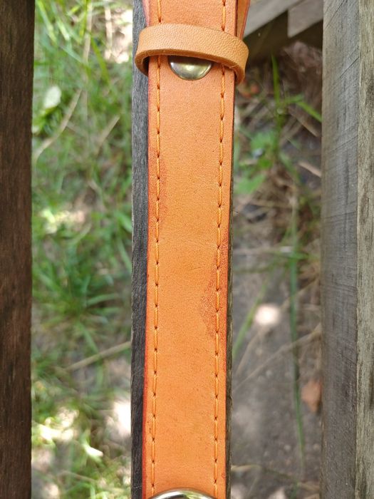 Ошейник для собак