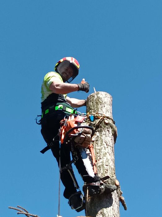 Wycinka Drzew Alpinistycznie .