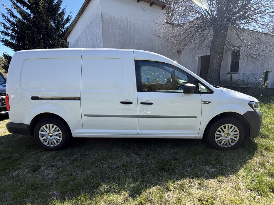 Caddy maxi chłodnia