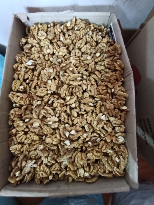 Грецький горіх битий бабочка