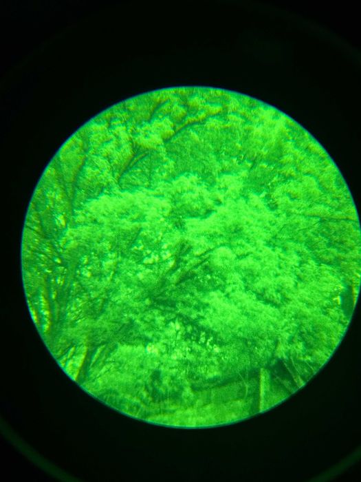 Бінокуляр Нічного Бачення (ПНБ) ACTinBlack DTNVS  V2 FOM: 2100 Gen 2+ Green Phosphor ПНБ нічник NVG монокуляр