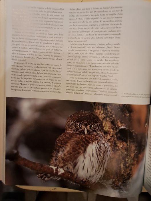 Livro sobre Caça,  em Castelhano, Kurt G. Blüchel