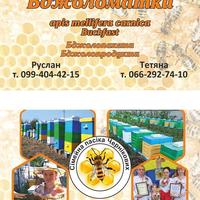 Бджоломатки. Бджолопакети карніка, бакфаст 2025