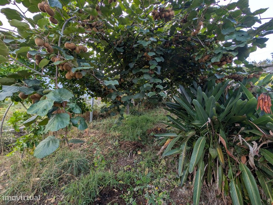 Terreno Misto em Vilaça – 1.100 m²