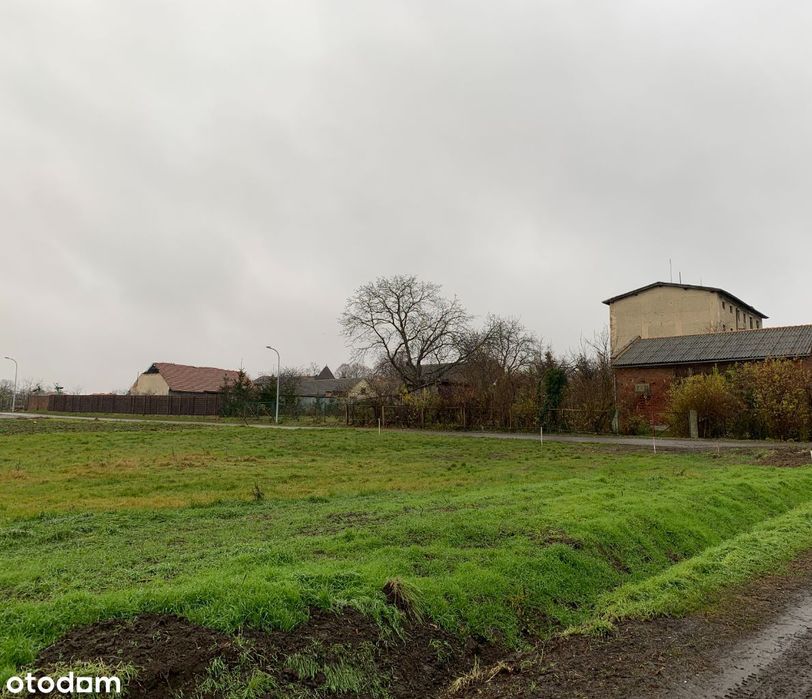 Działka budowlana 272/2, 1319 m2, Piotrkowiczki, Trzebnica, S5 Wrocław
