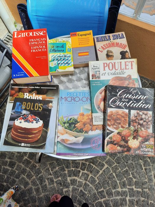 Livros usados/dicionários