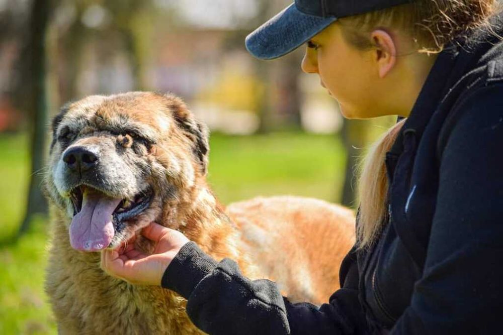 Ciekawska i pogodna Zosia