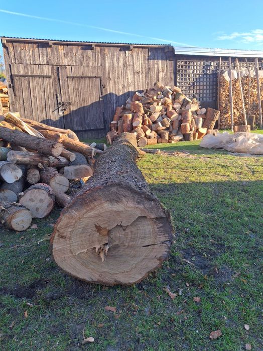 Sprzedam dwa zdrowe dęby o długościach 570 cm i 250 cm