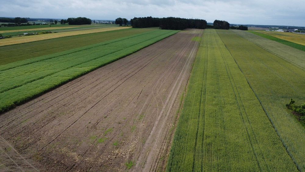 Działka budowlana Drzymałowo przy lesie indywidualne warunki zabudowy - Widok 5
