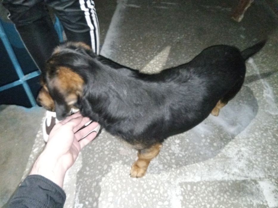 Хлопчик шукає родину.