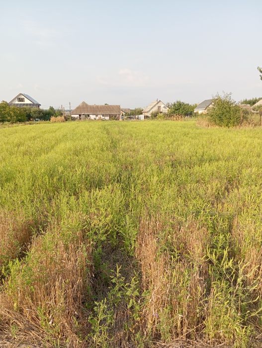 Продам участок землі 0,1448, смт Маньківка, Уманський район, Черкасько