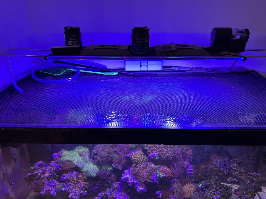 Akwarium morskie pełny zestaw