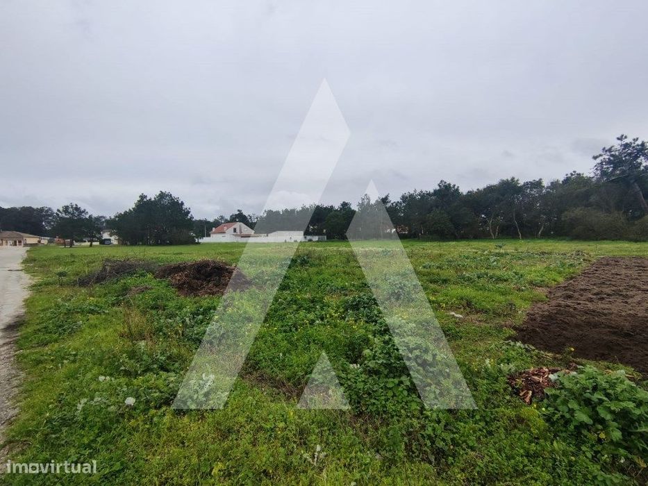 Terreno com 40 metros de frente na Gafanha do Carmo.